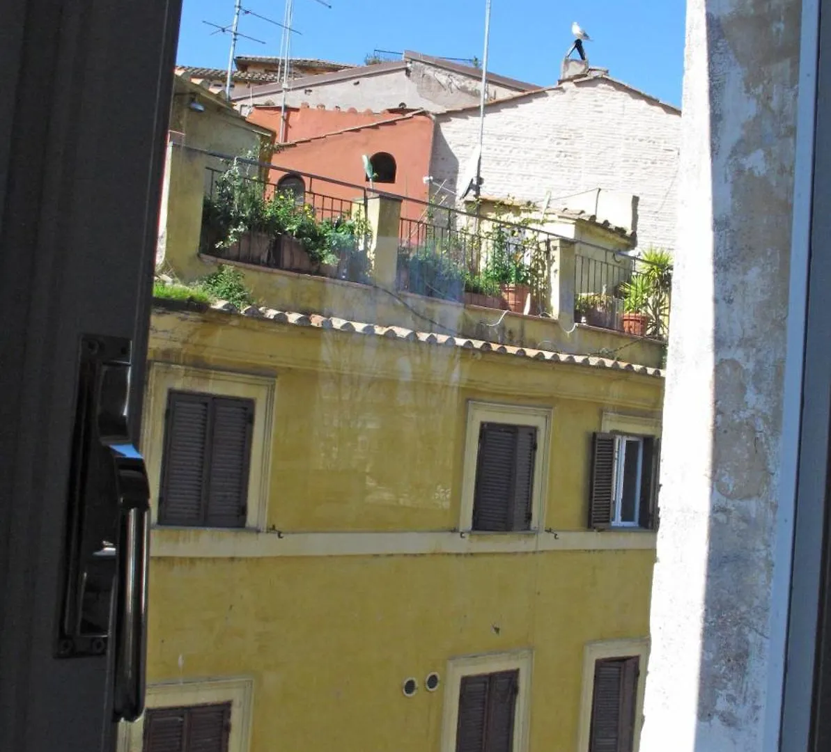 Spacious, Modern, Bright Apartment, Near Piazza Navona! Rome Apartment